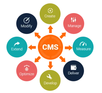 CMS-Development-Company