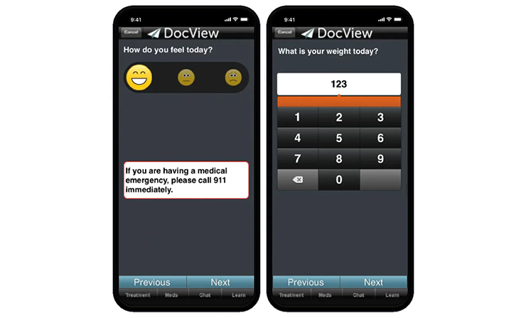 DocView-Slide2