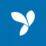 Yii Development