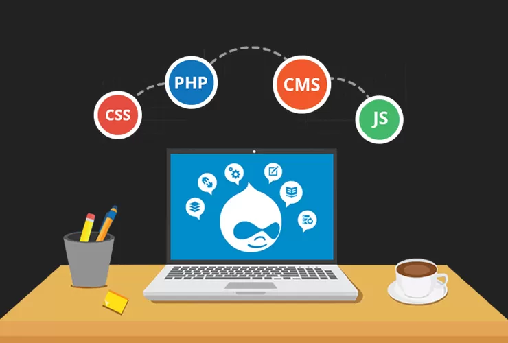Drupal Development