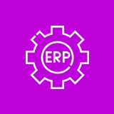 Hire ERP Consultants