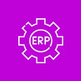 Hire ERP Consultants