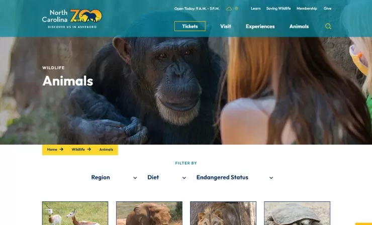 project- TheOldState - NC Zoo (3)
