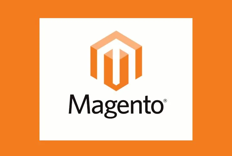 Magento for Your Online Store
