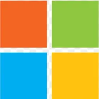  Microsoft Access