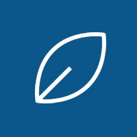 MongoDB Services