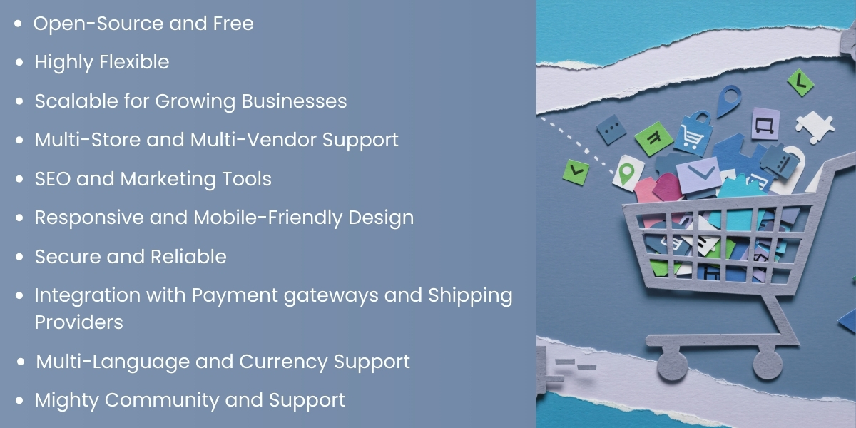 NopCommerce is the Ideal eCommerce Solution