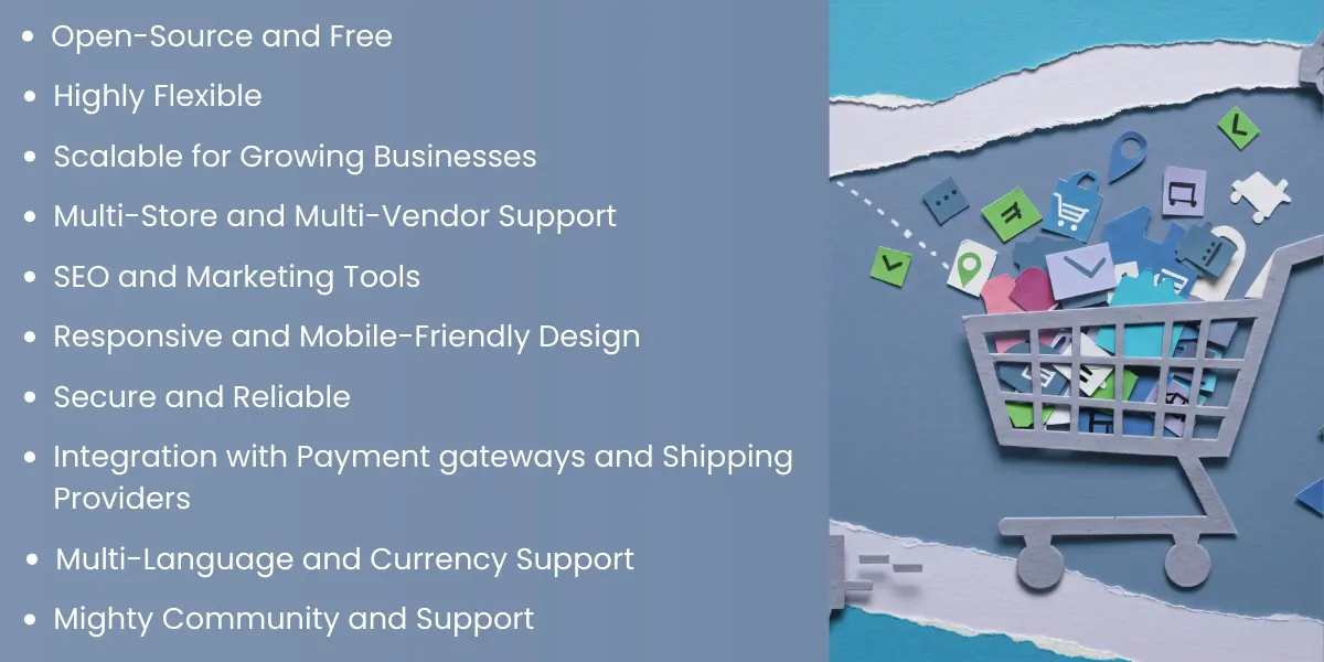 NopCommerce is the Ideal eCommerce Solution