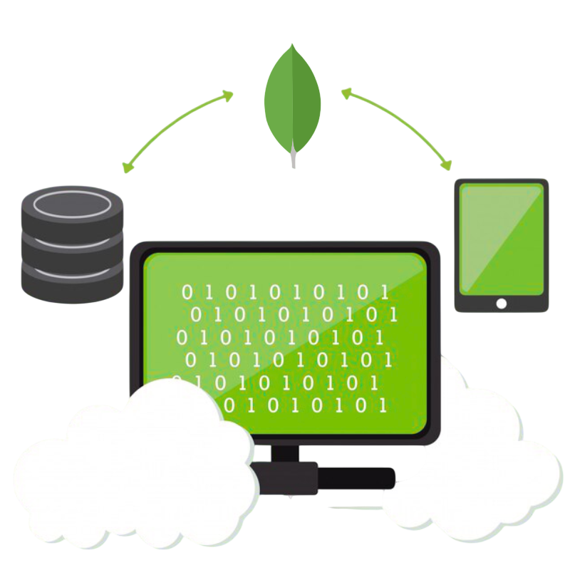 Custom MongoDB Database