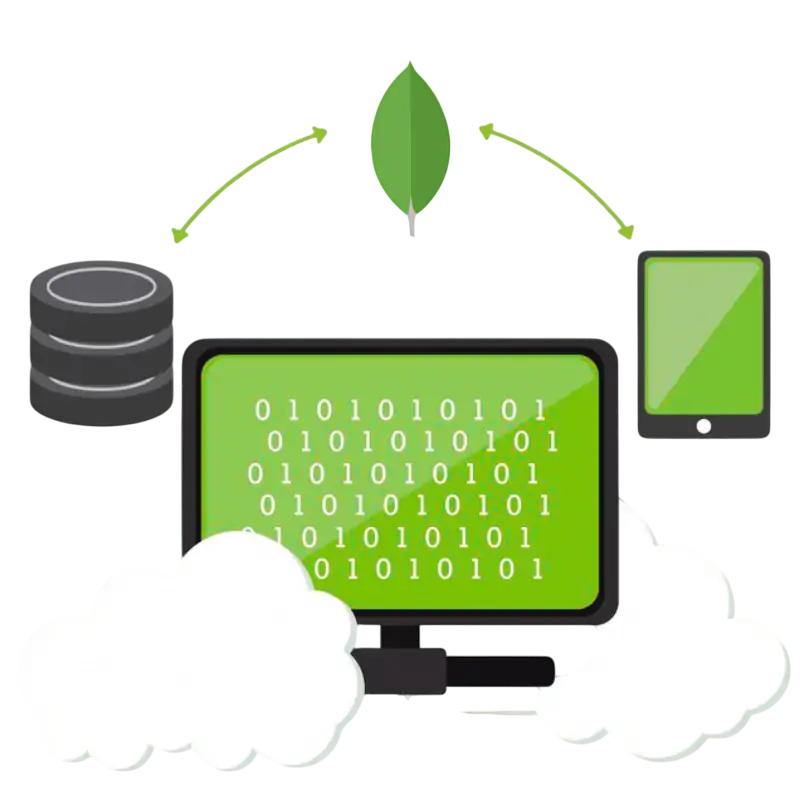 Custom MongoDB Database