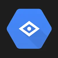 Google Vision AI