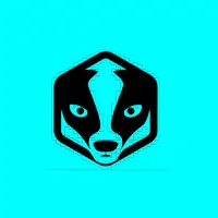 pgBadger