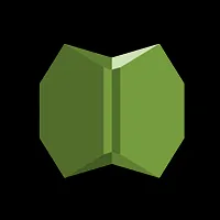 AWS Shield