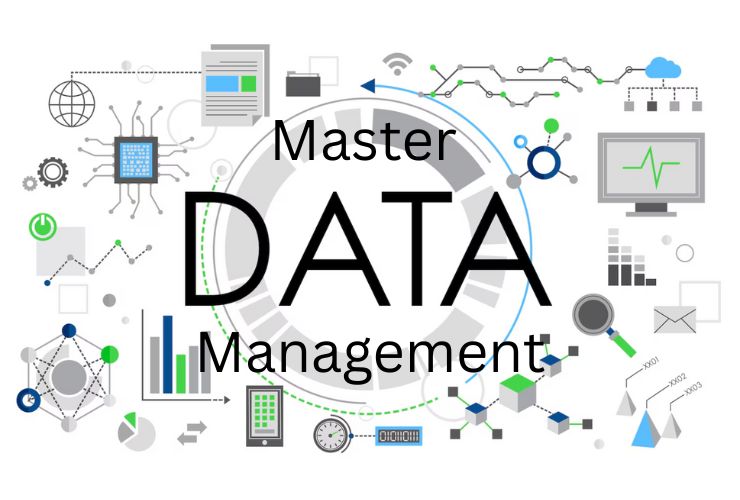 Master Data Management