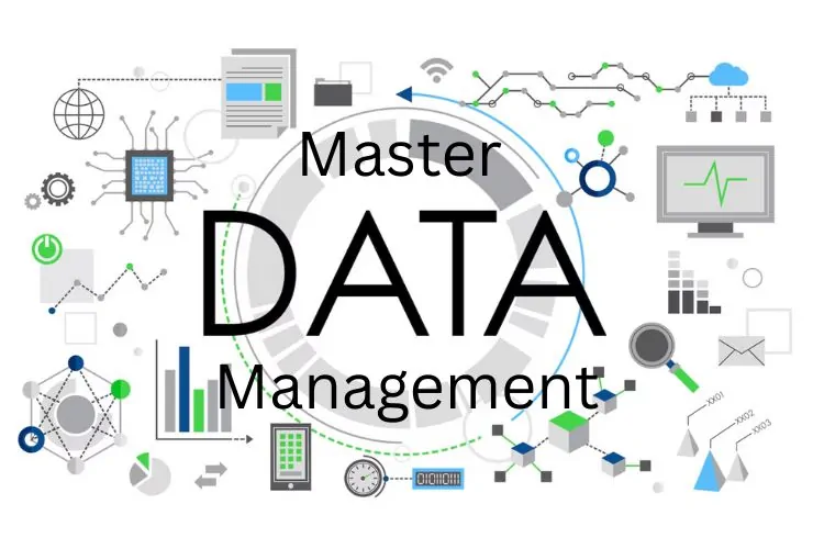 Master Data Management