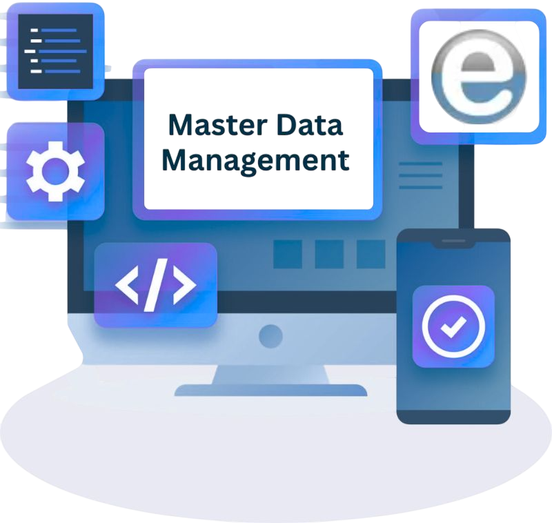 Master Data Management Services