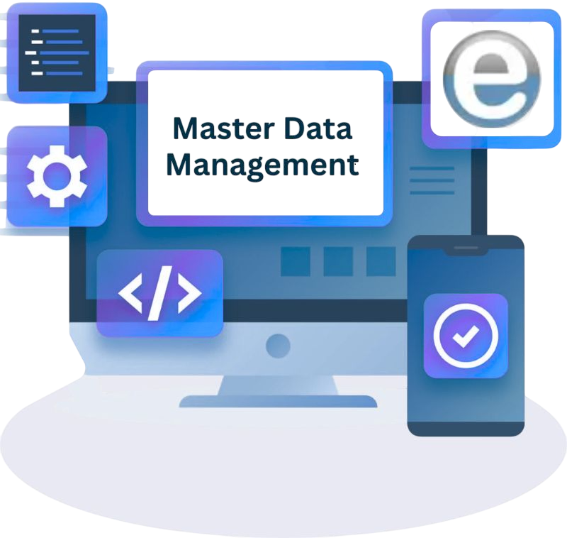 Master Data Management Services