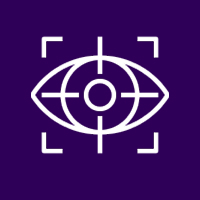 Vision