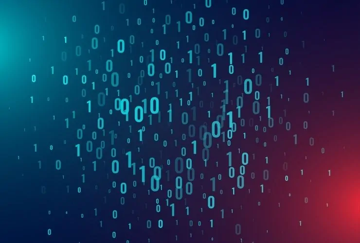 Custom .NET Development