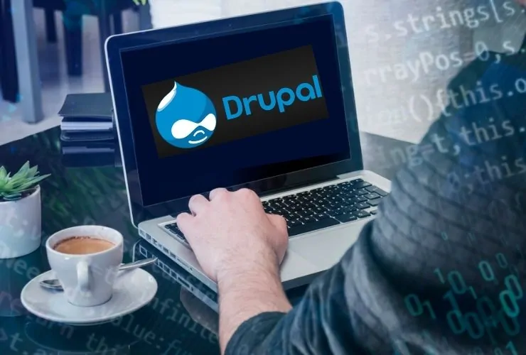 Custom Drupal Development