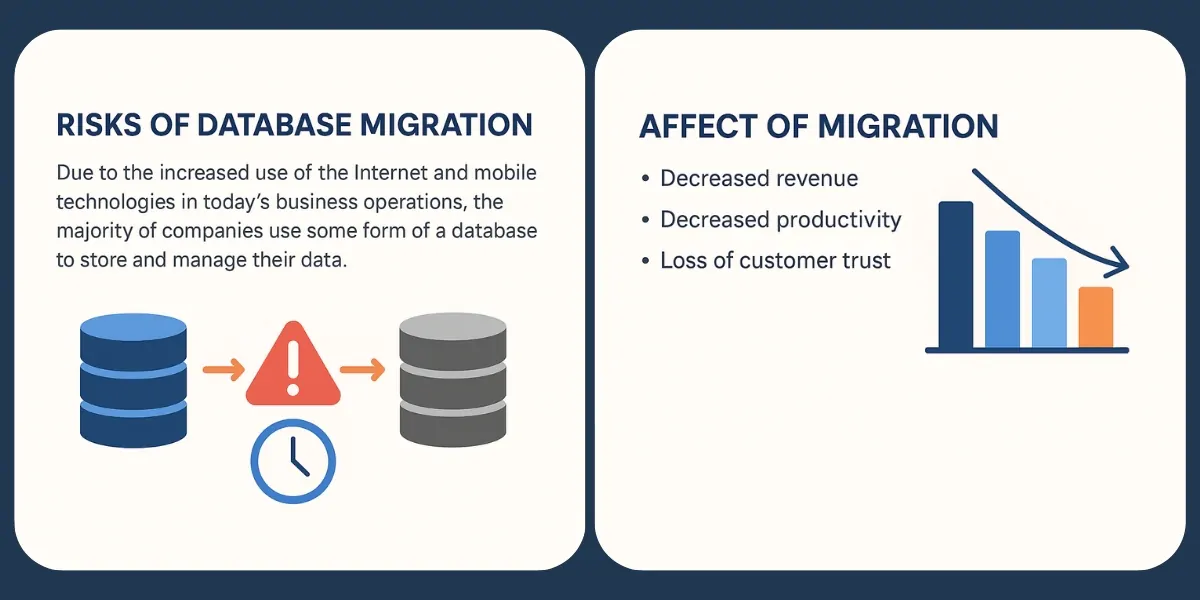 Risks of Database Migration