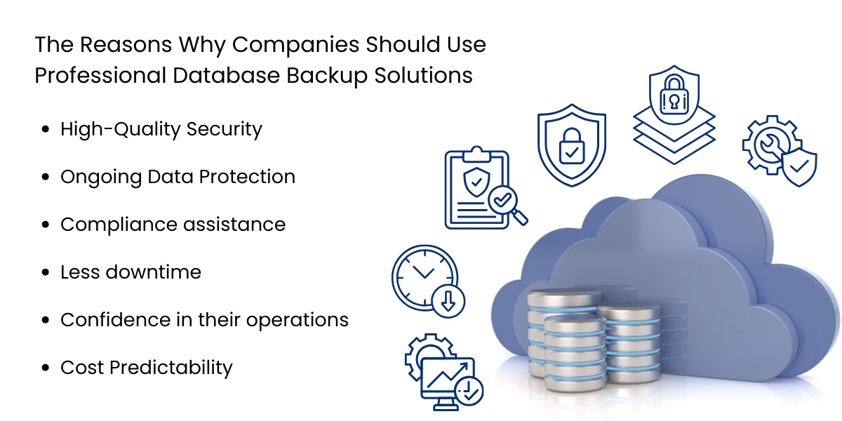 The Reasons Why Companies Should Use Professional Database Backup Solutions