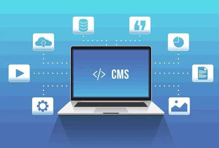 Choose the Right CMS for Your Business Website